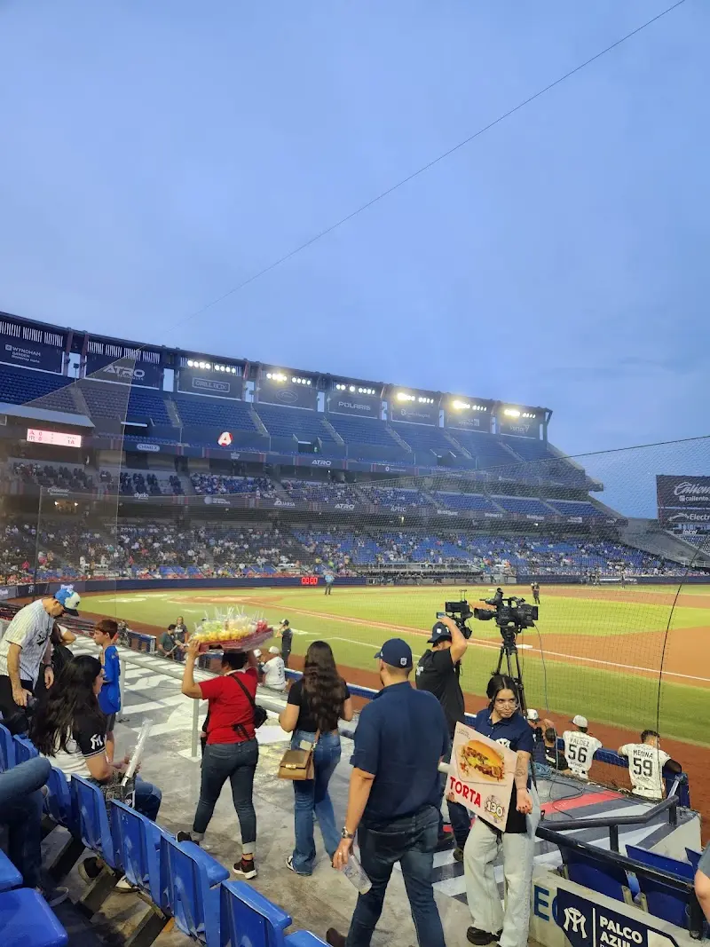 Insignia Nuevo León Sultanes exterior