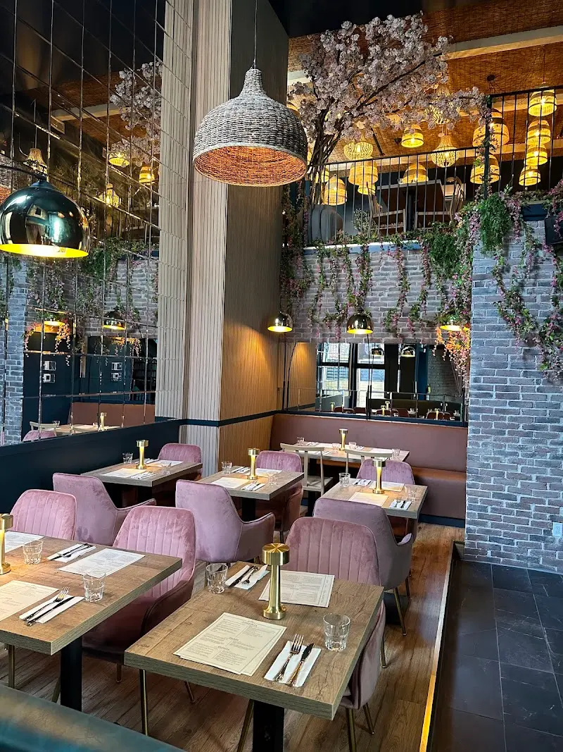 Aleria exterior