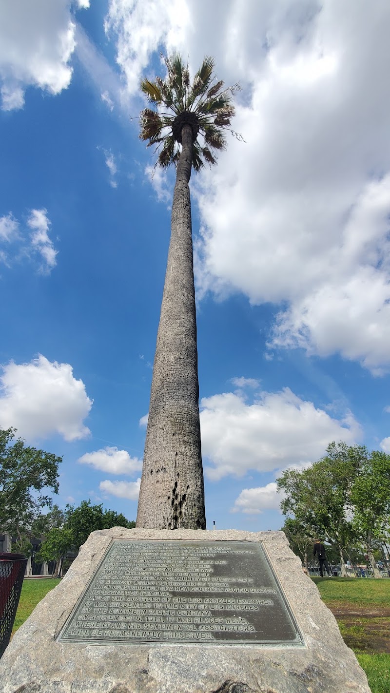 Historic Palm Tree of Los Angeles exterior