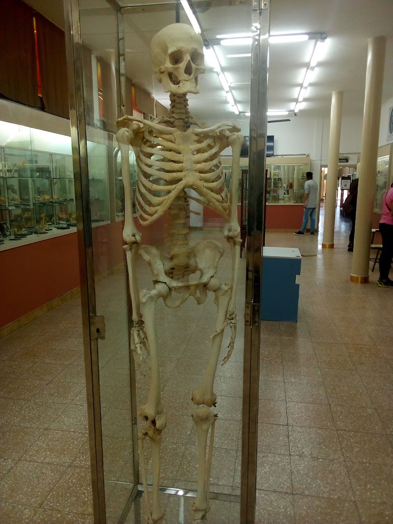 Dr. Pedro Ara Anatomical Museum exterior