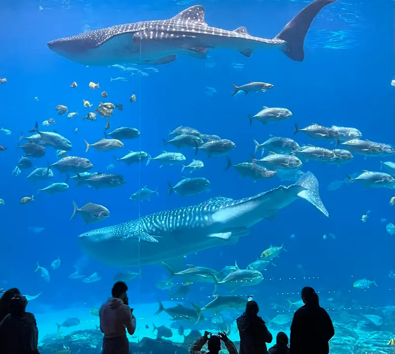 Georgia Aquarium exterior