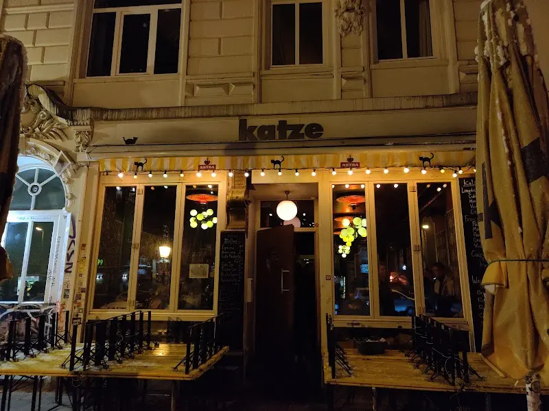 Katze exterior