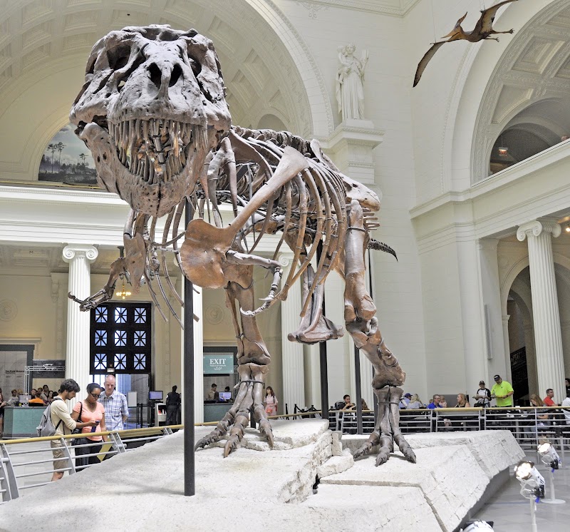 Field Museum exterior