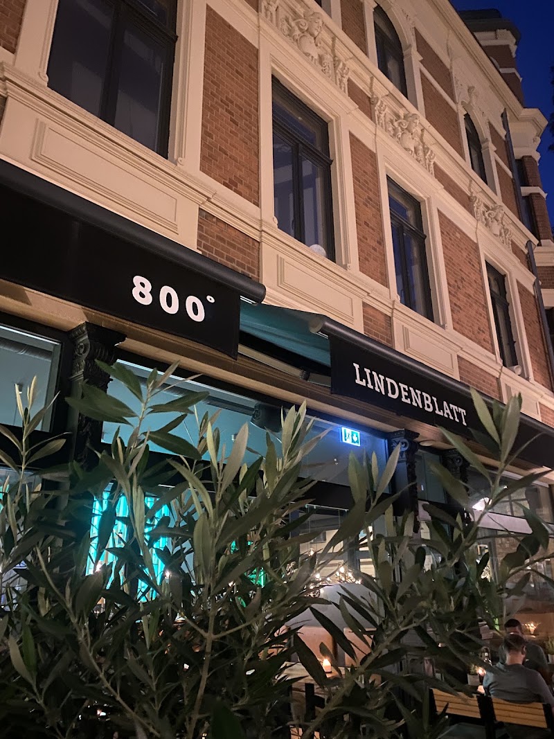 Lindenblatt 800° exterior