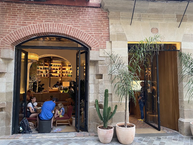 Perro viejo exterior