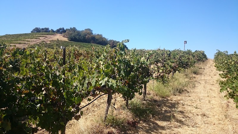 Brooklyn West Winery exterior