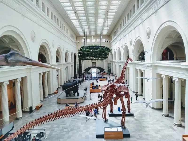 The Museum Campus exterior